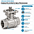 Válvula Esfera com base para atuador 1" BSP Aço Inox 304 com Vedação PTFE 1000PSI - Imagem 2