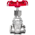 Válvula Gaveta 3/8" BSP Aço Inox 304 200PSI - Imagem 2