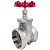 Válvula Gaveta 4" BSP Aço Inox 304 200PSI - Imagem 1