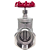 Válvula Gaveta 4" BSP Aço Inox 304 200PSI - Imagem 3
