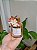 Aromatizador de ambiente Com Varetas Aconchego e Sofisticação 170ml - Imagem 2