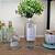 Refil para Home Spray da linha Bambu Gold 500ml - Imagem 1