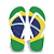 Chinelo Brasil E Seleção Brasileira Personalizado Presentes - Imagem 1