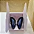 Borboleta Ágata Azul - Imagem 2