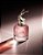JEAN PAUL GAULTIER SCANDAL FEM 80ML - Imagem 1