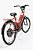 Bicicleta Elétrica Duos Confort 800w - Imagem 2
