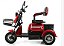 Triciclo Lupy 1000W (Autopropelido) - Veloster - Imagem 5