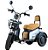 Triciclo Joy Tri 600W (Autopropelido) - Moto Chefe - Imagem 8
