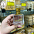 Frasco para Perfume 30ml Luxo - (un) - Imagem 3