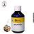 Essência City Garden Ginger - 100ml - Imagem 1