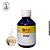 Essência Farma Ginger - 100ml - Imagem 1