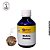 Essência Madeira Preciosa Ginger - 100ml - Imagem 1