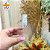 Frasco Pet 50ml Flora c/ Válvula Spray Natural - 50UND - Imagem 3