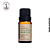 Óleo Essencial Eucalipto Globolus  Via Aroma - 10ml - Imagem 1