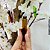 Kit 50 unidades de Vidro Roll-on 10ml GD - Imagem 3