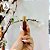 Kit 50 unidades-VIidro Rollo-on 5ml Âmbar - Imagem 2