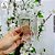 Vidro Recrave Classic Cristal 100ml - (UN) - Imagem 3