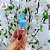 Kit 10 Frascos Pet Cristal 20ml c/ Tampa Flip Top - Imagem 5