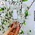 Kit 10 Frascos Pet Cristal 20ml c/ Válvula Spray - Imagem 3