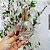 Frasco Vidro Moon 60ml c/Spray - Imagem 5