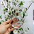 Frasco Vidro Moon 60ml c/Spray - Imagem 3