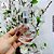 Frasco Vidro Moon 60ml c/Spray - Imagem 4