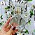 Porta Perfume Chance Tampa Transparente/Dourada 50ml - Imagem 3
