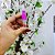 Kit 10 Frascos de Vidro 3ml - c/Válvula Spray  Rosa ou Azul - Imagem 3