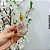 Vidro Porta Perfume Cristal c/ Tampa (T) - 30ml (un) - Imagem 3