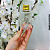 Kit 20 Frascos Pet 60ml Cristal c/Tampa Alumínio Furada - Imagem 3