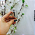 Vidro Âmbar 50ml c/Bulbo Prata - UN - Imagem 5