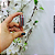 Vidro Âmbar 50ml c/Bulbo Prata - UN - Imagem 3
