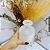 Vaso de Vidro Florença Fosco - 250ml - Imagem 3