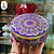 Lata de Metal Mandala - 250ml (UND) - Imagem 5