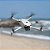 Drone DJI Lito 1 Fly More Combo (Sem tela) BR - DJI080 - Imagem 5