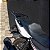 BAGAGEIRO VISION FACTOR 150 2016 EM DIANTE CURTO PRETO - Imagem 3