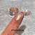 Pigmento Champanhe Anairana - Linha Noivas - Imagem 1