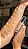 Base Payot Retinol Cor 50 - Imagem 2