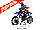 LOSI PROMOTO-MX 1/4 (CLUBMX) MOTO - US STOCK - Imagem 1