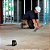 Nivel a Laser Automático Alcance 15m DW088K Dewalt - Imagem 5