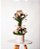 ARRANJO TOPIARIA- MINI ROSAS - Imagem 1