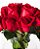 BUQUÊ ELEGANCE-ROSAS VERMELHAS NACIONAL TIPO EXPORTAÇÃO NO VASO DE VIDRO COM FOLHAGENS DE CANOA - Imagem 2