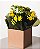CALANDIVA - Imagem 1