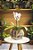 MINI ORQUÍDEA NO CACHEPOT DE VIDRO QUADRADO - Imagem 1