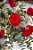 BUQUÊ PREMIUM - AMOR ROSAS COLOBIANAS - Imagem 2