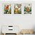 Quadros para quarto de bebê Fauna Brasileira - Imagem 1