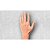 Papel de Parede Texturizado Floral Off-White - PP253 - Imagem 5