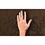 Papel de Parede Texturizado Barroco Feel - PP120-4 - Imagem 3