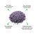 Kit Sossego: Chá Jasmim 30g + Chá Alfazema ( Lavanda ) 30g - Imagem 2