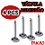 Válvula Admissão Vw Ea111 Power 1.6 8v Gol, Fox, Voyage, Saveiro, Polo, Golf 34,5x6x99,18 Takao - Imagem 2